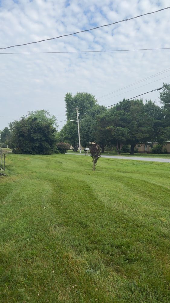 All Photos for Bew’s Lawn Care in Girdletree, MD