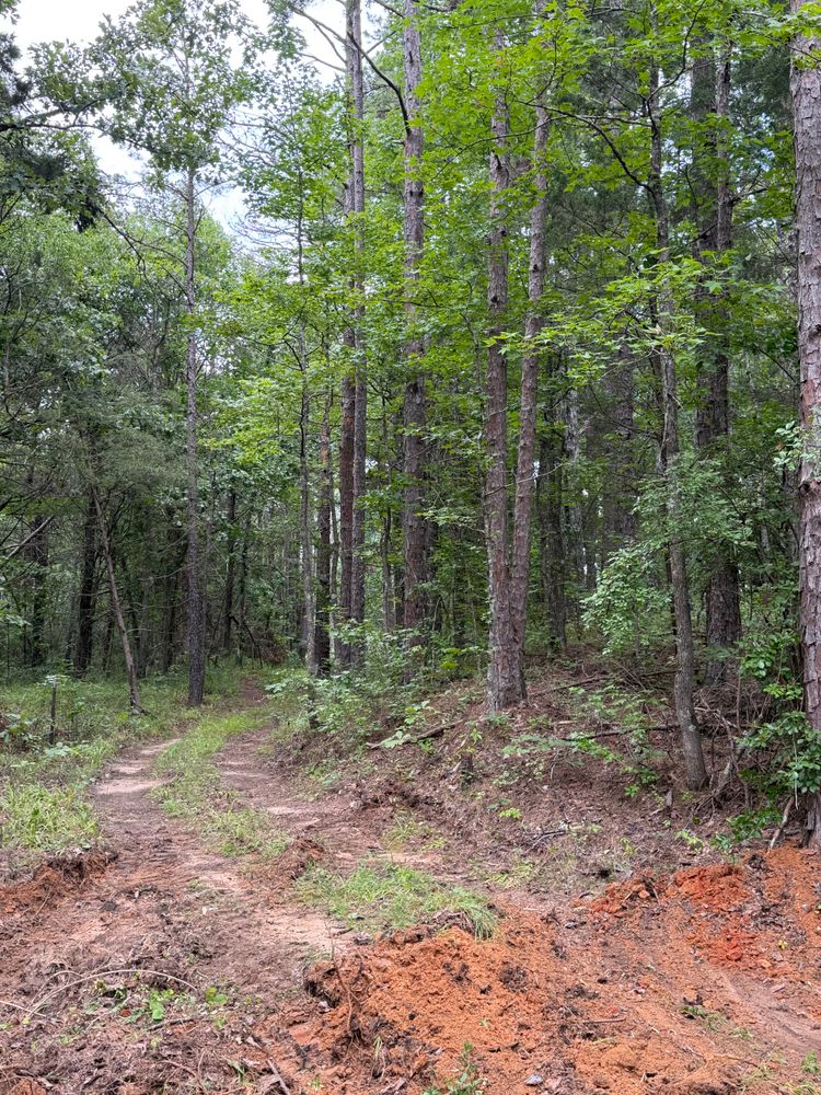 All Photos for Ross Excavation & Land Development in Middleton, TN