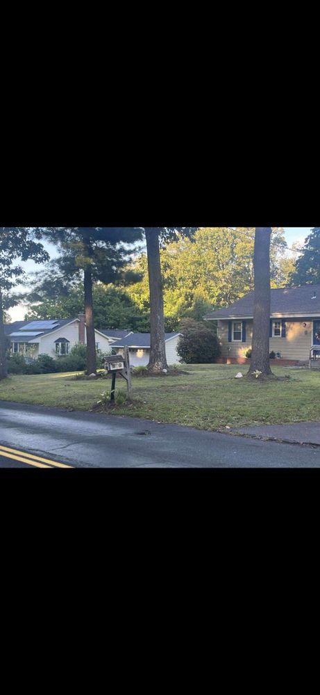 Stump Removal for Jills Stump Grinding and Firewood in Shelton, CT