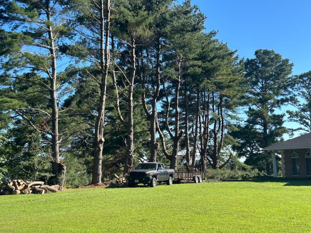 All Photos for The Whole 9 Yards Landscape VA in Heathsville, VA