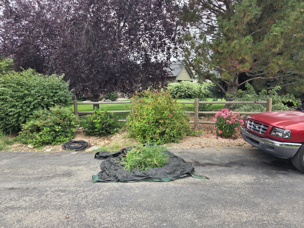 All Photos for Silvercut Lawncare in Star, ID