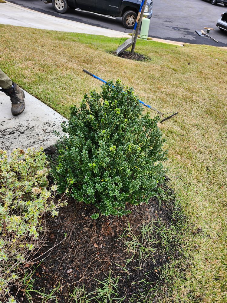 All Photos for AW Irrigation & Landscape in Greer, SC