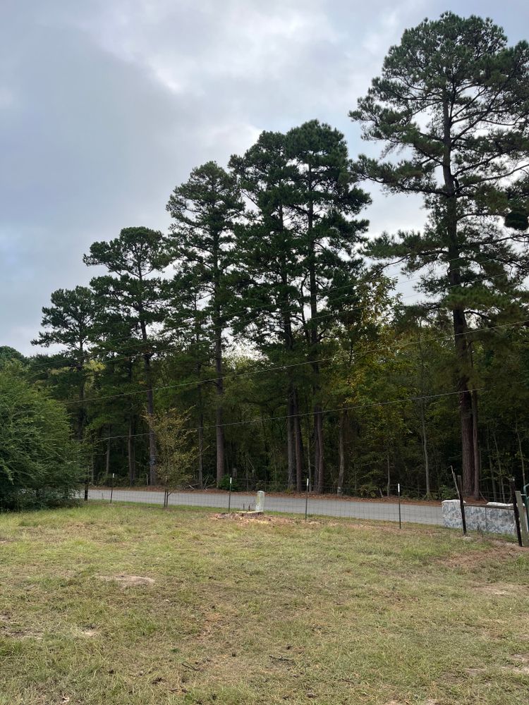 All Photos for JC Land and Tree Service in Kilgore, TX