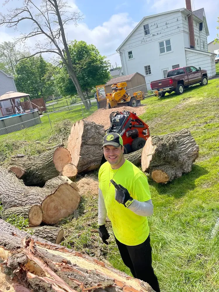 Discover more than tree care with our additional homeowner services, designed to enhance your property’s beauty, safety, and value. Explore how our expert team can help today. for Mays Tree and Stump Removal in Alden, NY