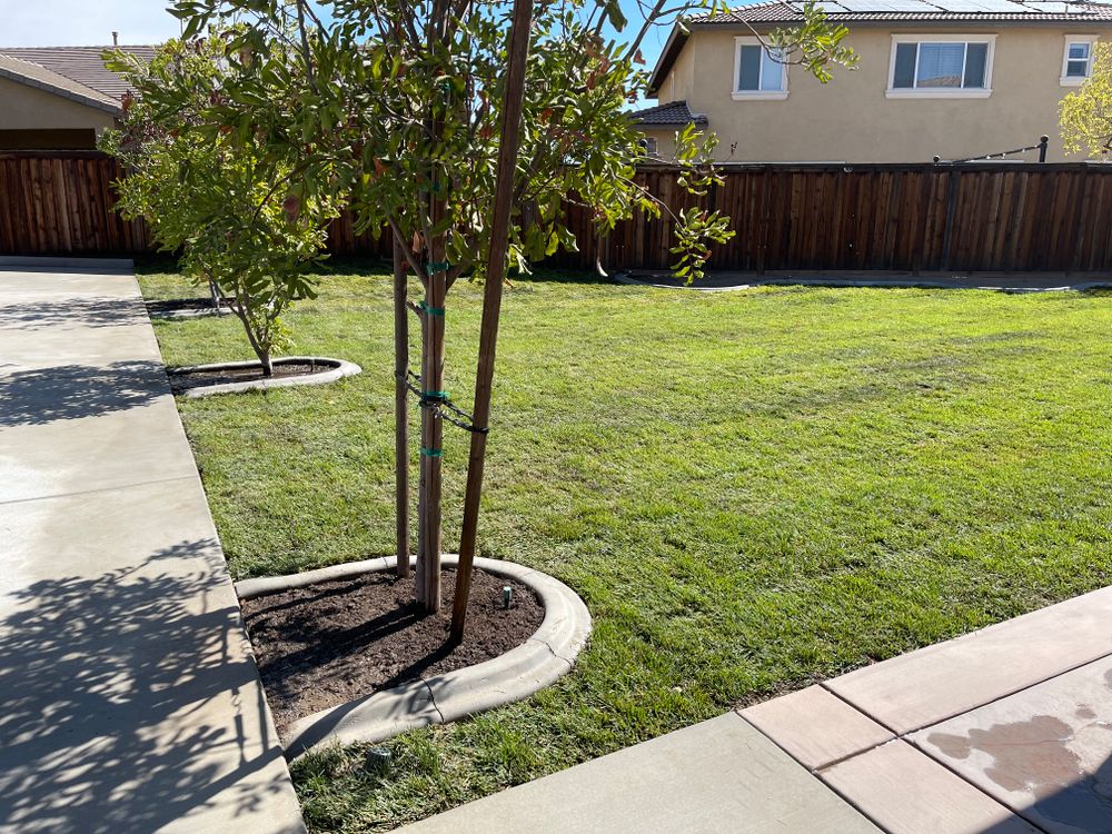 Sod Installations for Aidan Jade Landscaping in Riverside County, CA