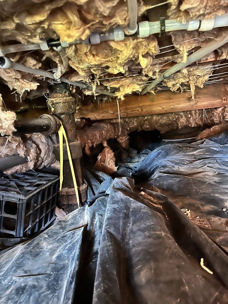 All Photos for Absolute Plumbing and Drains LLC in Beaverton, OR