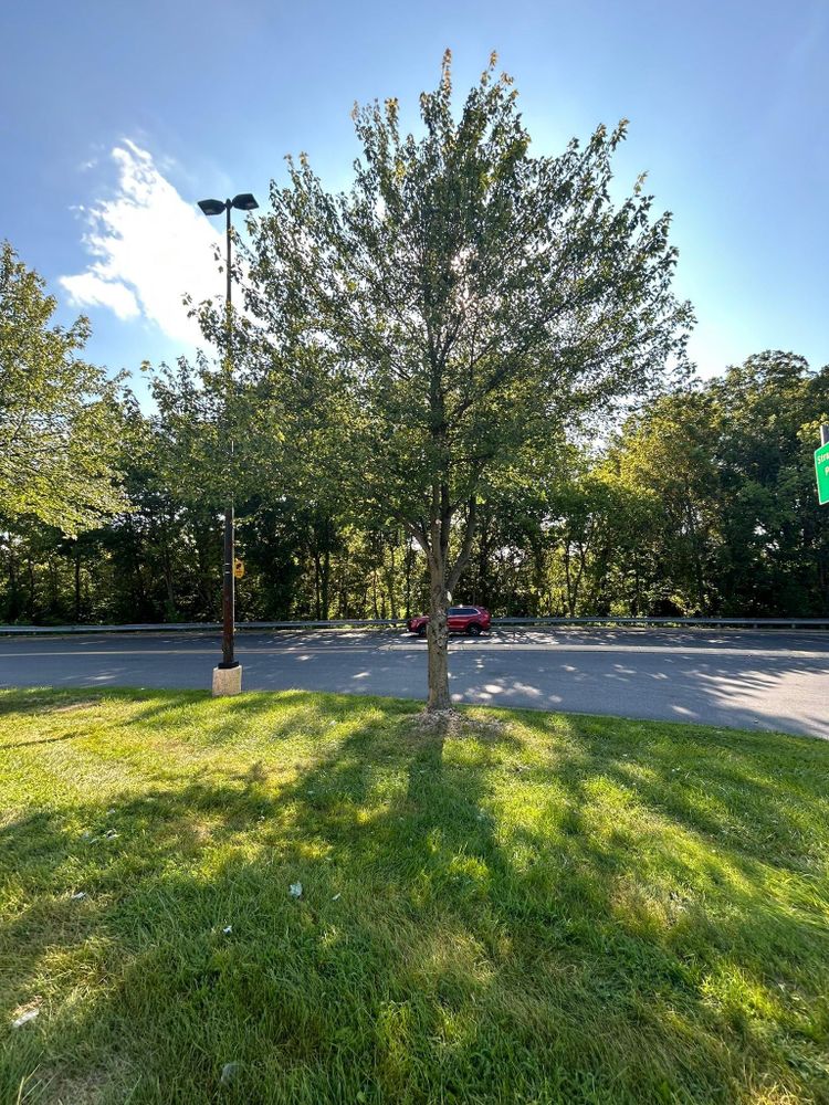 All Photos for Eric's Property Service in Conestoga, PA