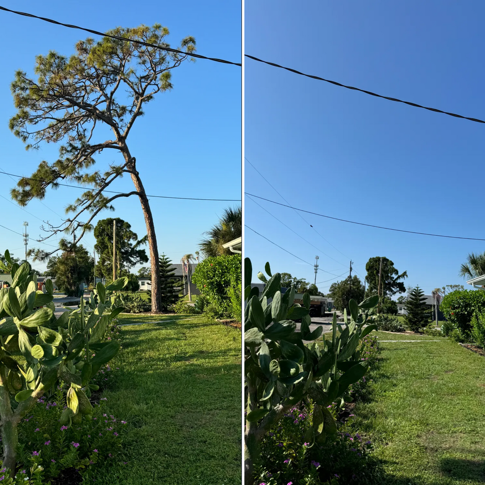 All Photos for Lemon Bay Tree Service  in Englewood, FL