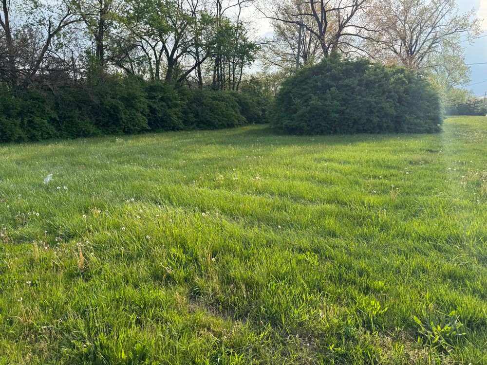 All Photos for A1 Bush Hogging & Lawn Service in Columbus, OH