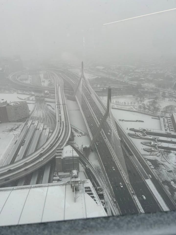 All Photos for Dwights Tree Service in Middleborough, MA