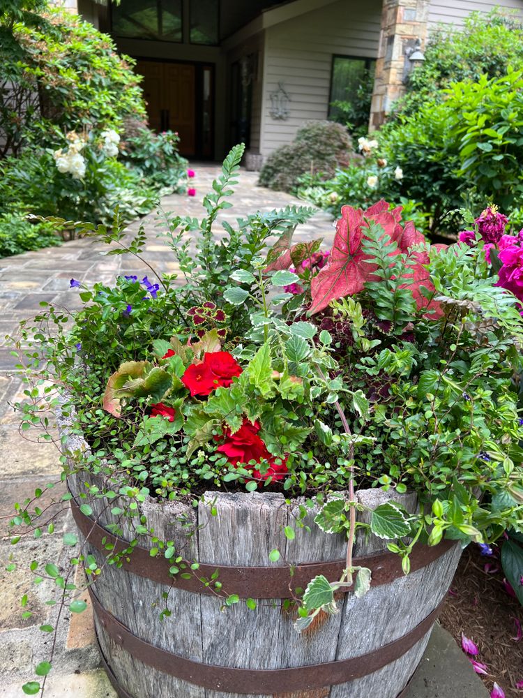 Container Gardening for Sustainable Lawn and Landscape in Banner Elk, NC
