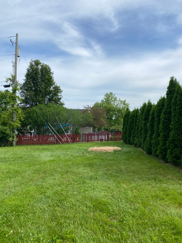 All Photos for Houtz Tree Service in Lexington, KY