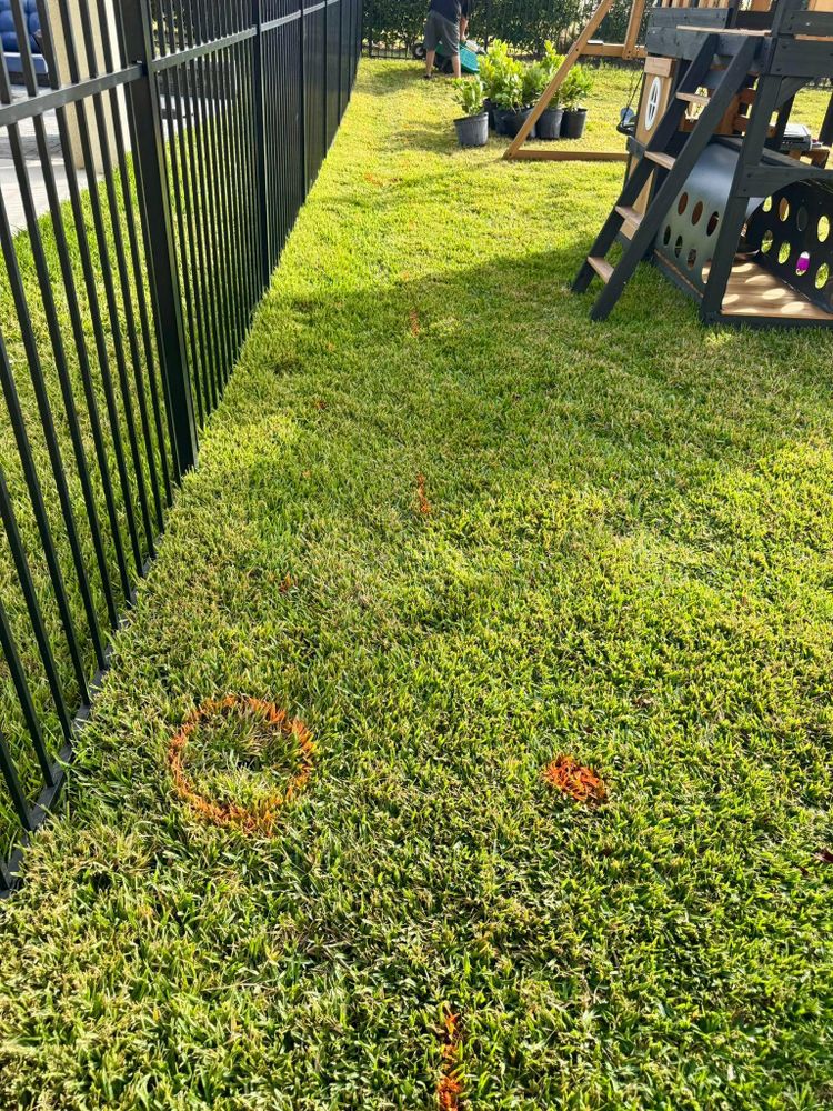 All Photos for Shoreside Property Services in Apollo Beach, FL