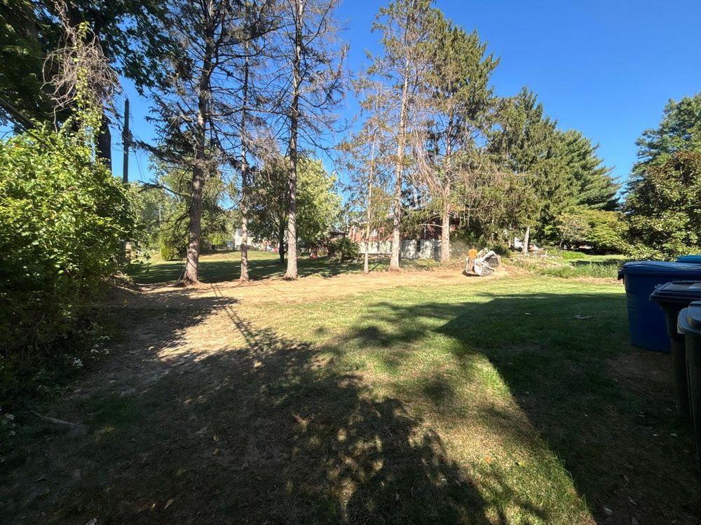 All Photos for J & B Landscaping in St. Louis, MO