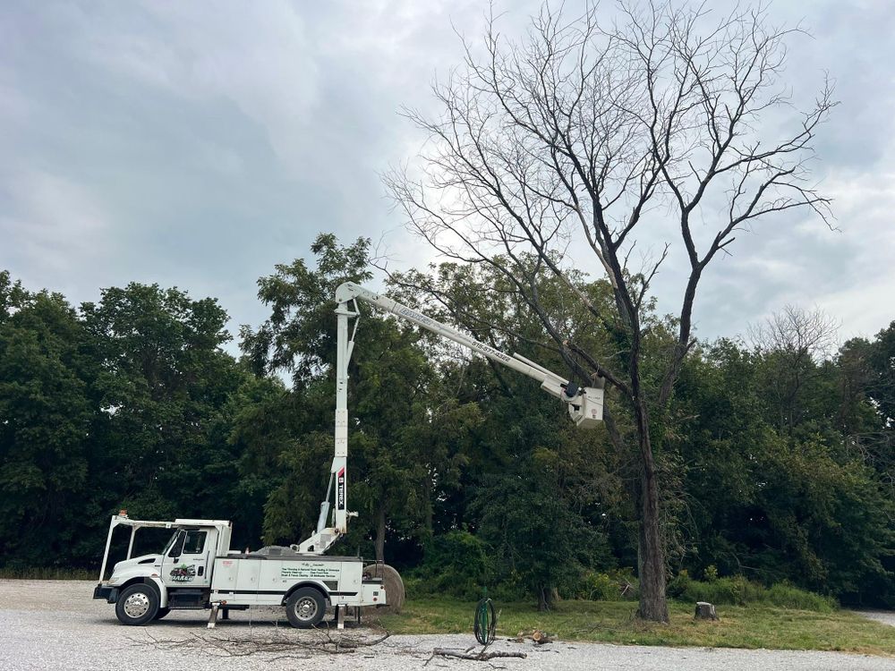 All Photos for Baker Professional Services LLC in Shelbina, MO