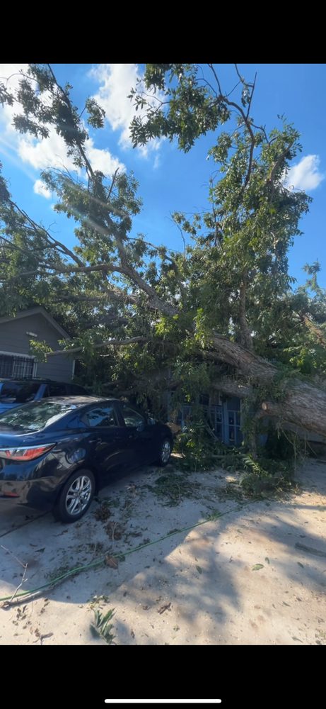 for C&B Ramos Tree Service in Houston, TX