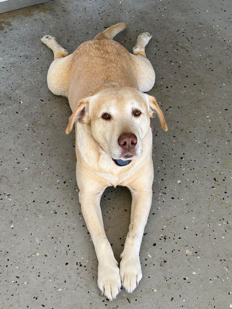 All Photos for X-Stream Pressure Washing and Roof Cleaning in Sandersville, GA