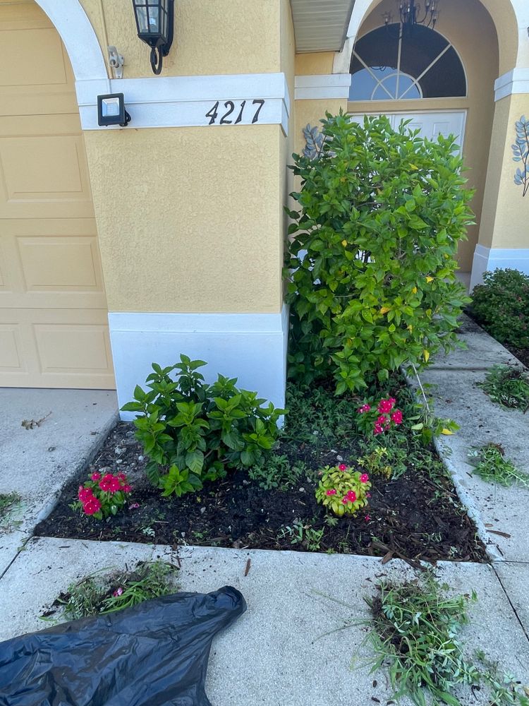 All Photos for BH Lawn and Landscape in Fort Myers, FL