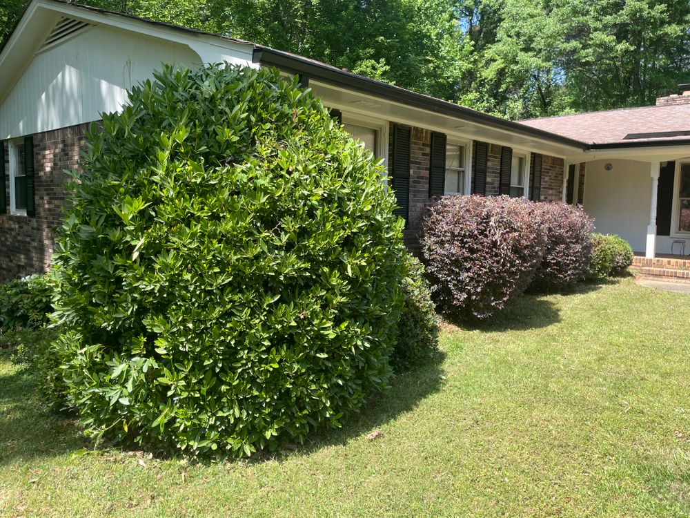 All Photos for Clark's Cuts Lawn Care in Lilburn, GA
