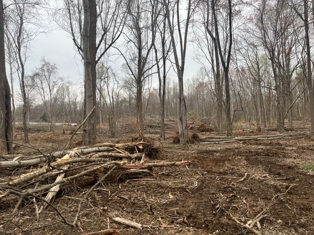 All Photos for Mountainside Property Services LLC in Warrenton, VA