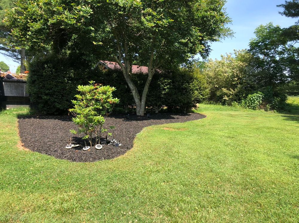 Our Mulch Installation service helps conserve moisture, suppress weeds, and improve soil health around trees. Enhance the appearance of your landscape while providing essential benefits for your tree's overall well-being. for El Perico Tree Service and Lawn Care, LLC in Boonville, North Carolina