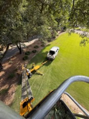 All Photos for Professional Landscape & Irrigation in Pensacola, FL