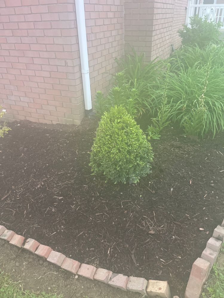 All Photos for Wilt Landscaping in Greenville, PA