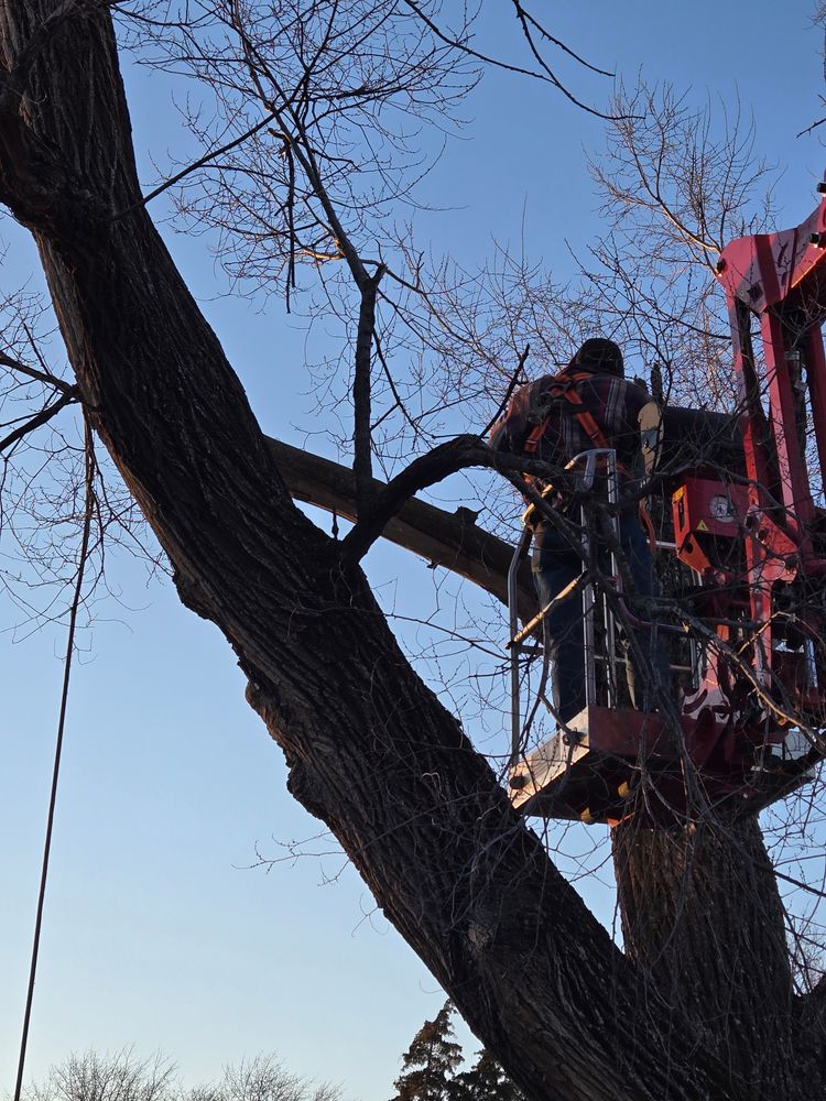 All Photos for Lawn Ranger Yard And Tree Service LLC in Ottumwa, IA