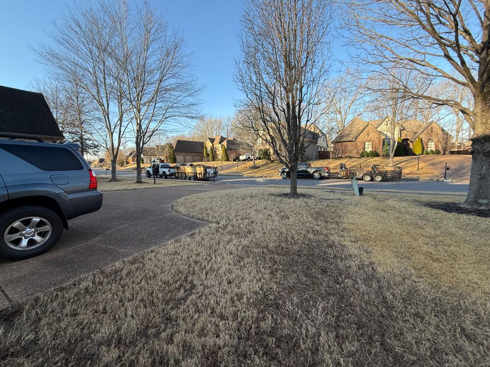 All Photos for Sanchez Z. Landscaping in Memphis, TN