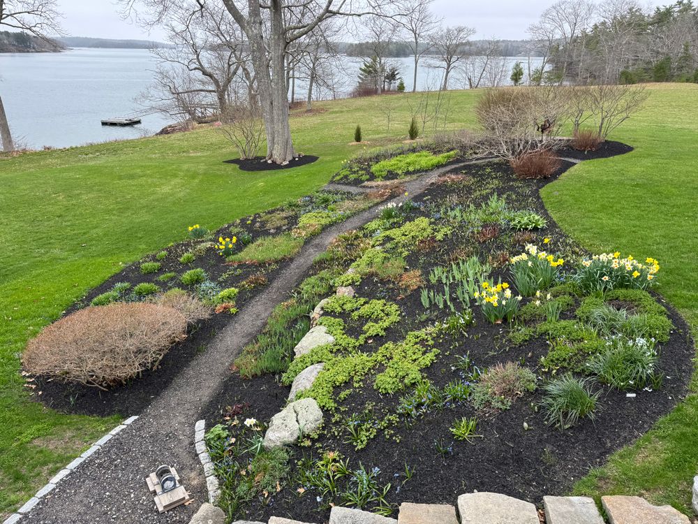 All Photos for Natural Roots in Georgetown, ME