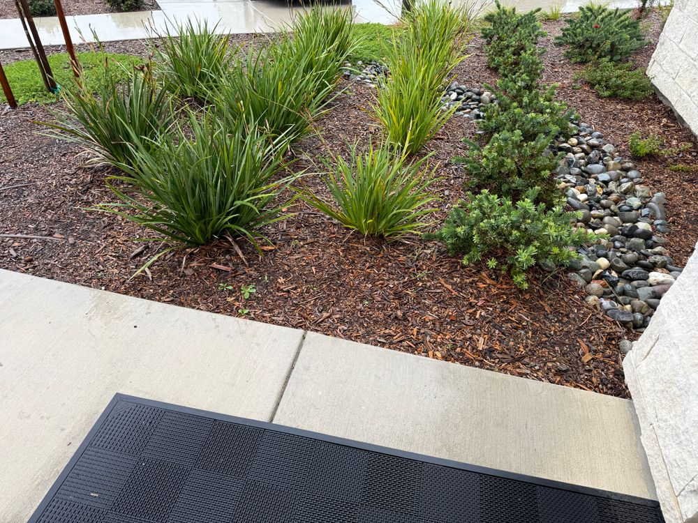 All Photos for Blue Water Landscape Services in Rancho Santa Fe, CA