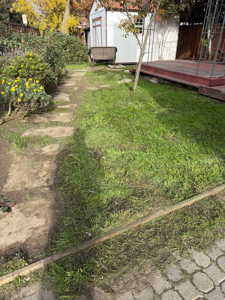 All Photos for CBA Landscaping in Hayward, CA