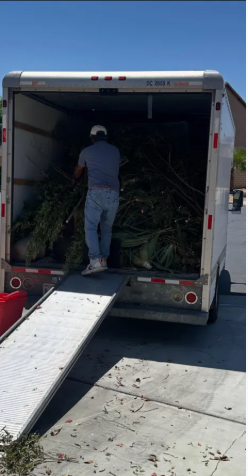 Junk Away Junk Removal Inc team in Palm Desert, CA - people or person