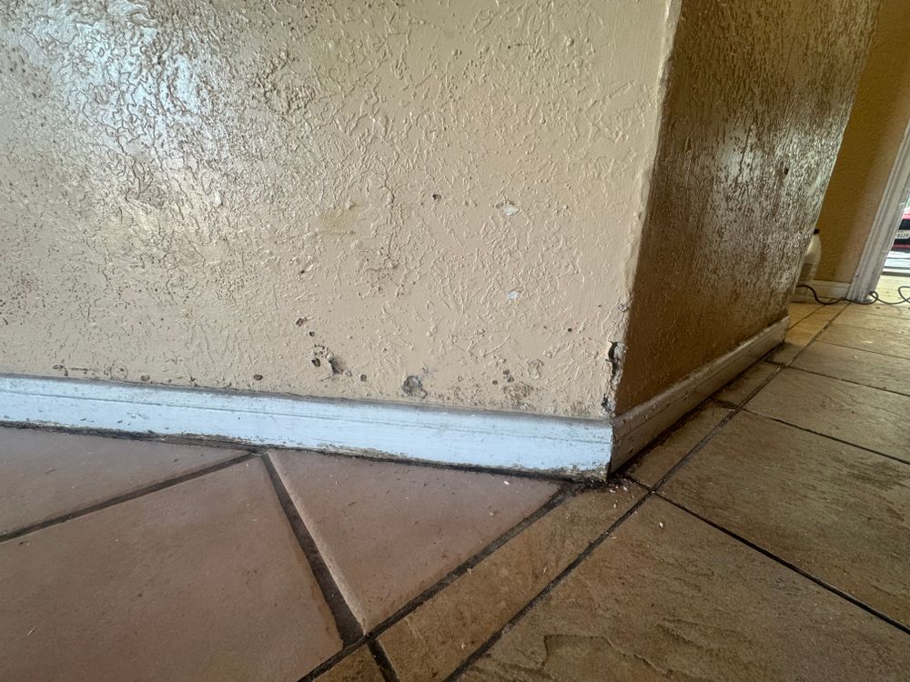 All Photos for Creative Contracting in Beaumont, TX