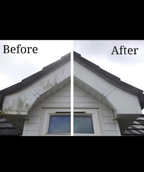 All Photos for Helpful Badger in Portland, OR