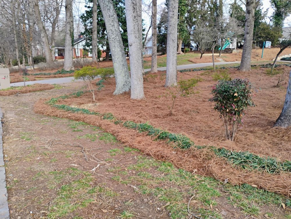 All Photos for BAM Another Pinestraw Lot in Flowery Branch, GA
