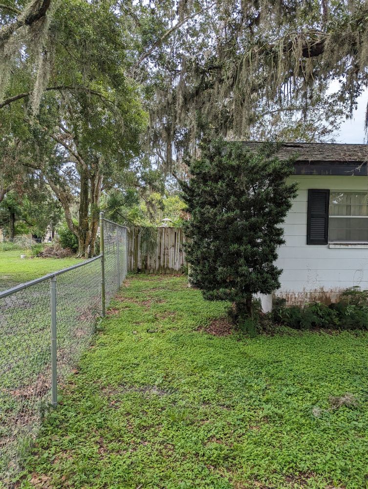 All Photos for Regal Tree Service and Stump Grinding in Wauchula, FL