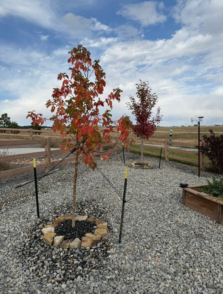 All Photos for Pikes Peak Landscaping in Colorado Springs, CO