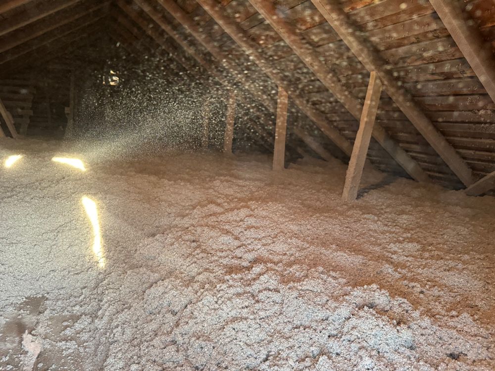 Crawlspace/Attic Renovation  for All-In Pest Control & Home Solutions in Greene County, IN