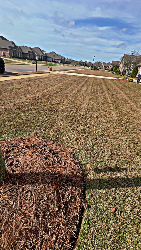 All Photos for Enhanced Landscape in Daphne, AL