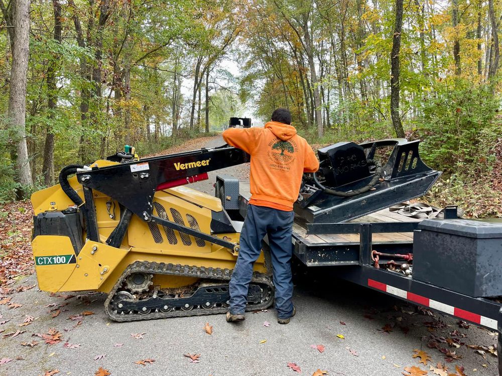All Photos for Ross Family Tree Service LLC  in Hohenwald, TN