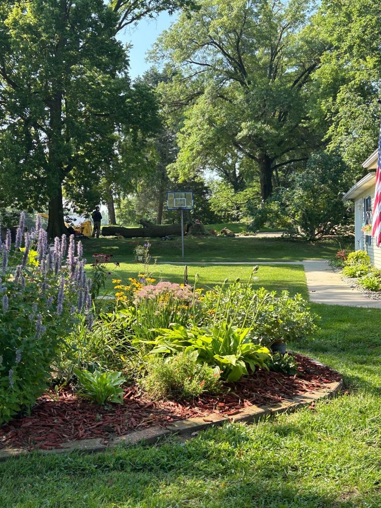 All Photos for Summit Tree Care LLC in Fort Wayne, IN