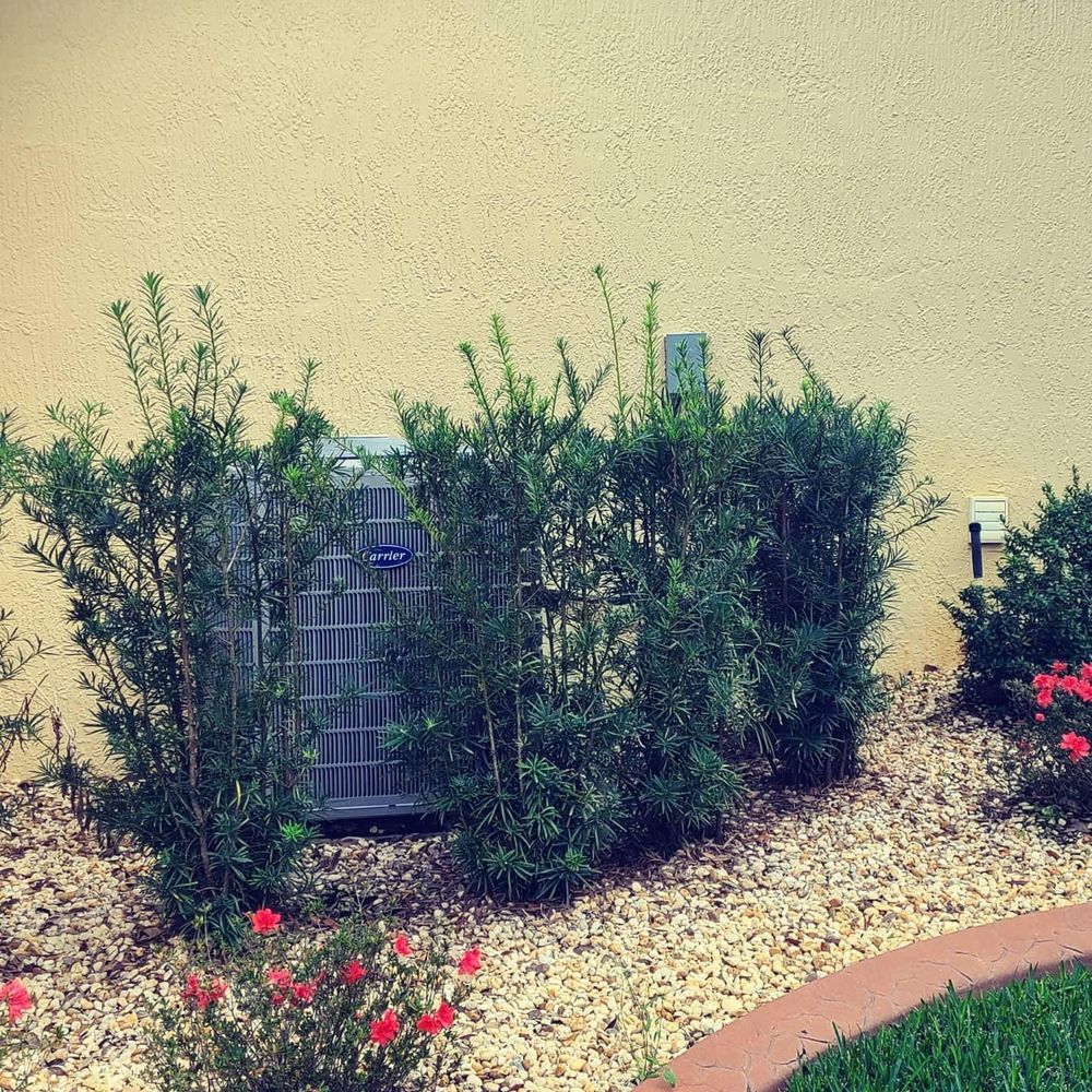 All Photos for TopNotch Landscaping Services  in The Villages, FL