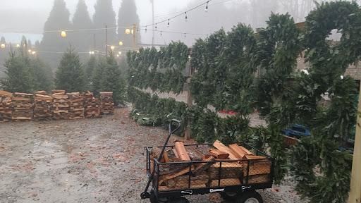 All Photos for BAM Another Pinestraw Lot in Flowery Branch, GA