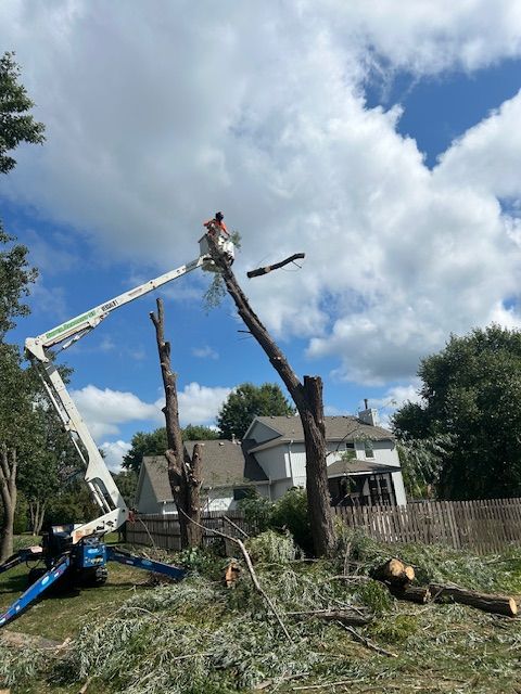 All Photos for Cross Family Tree Service in Kearney, MO