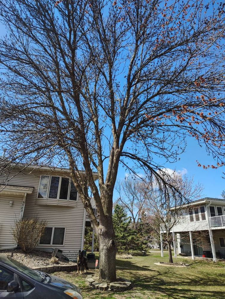 All Photos for Big River lawn Care services and snow LLC in Wausau, WI