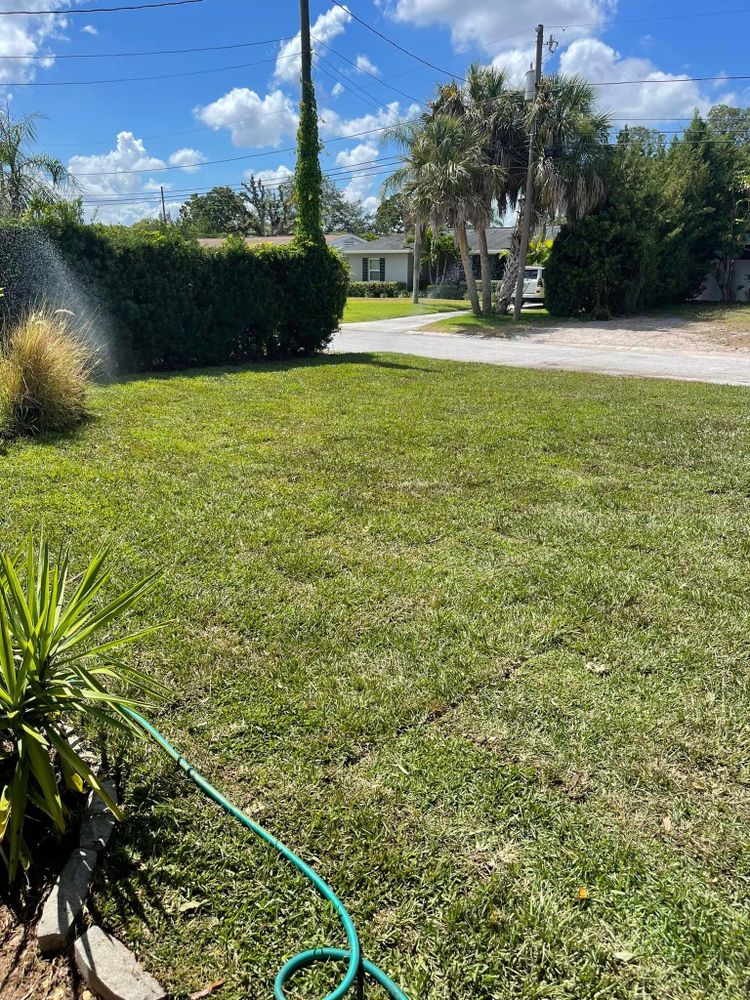 Lawn Care for Team Tolson Landscape in Tampa Bay, FL