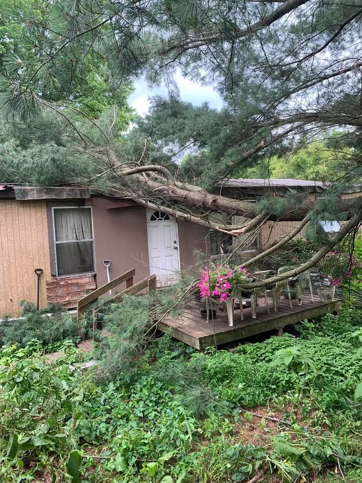 All Photos for Penn Top Property Services in Lake Meade, PA