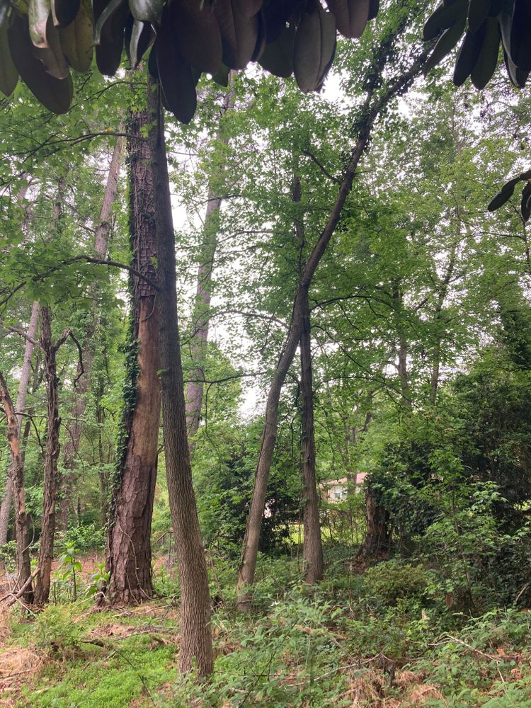 All Photos for Aries Lawnscapes in Atlanta, GA