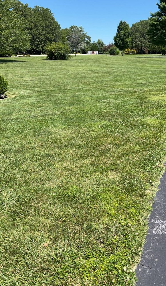 Lawn Care for Wright Lawn Services in Ozark, MO